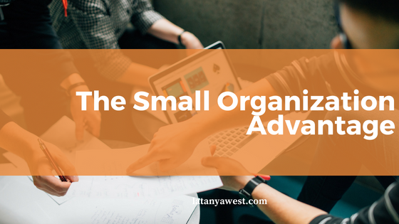 The Small Organization Advantage